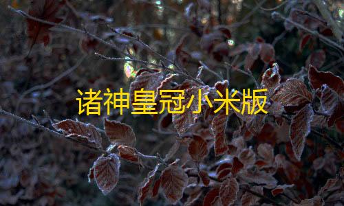 虚拟产品货源渠道诸神皇冠小米版